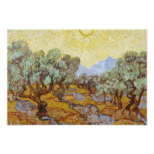 Foto Vincent van Gogh - Olivos