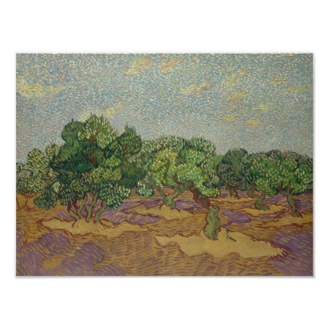 Foto Vincent van Gogh - Olivos (Frente)