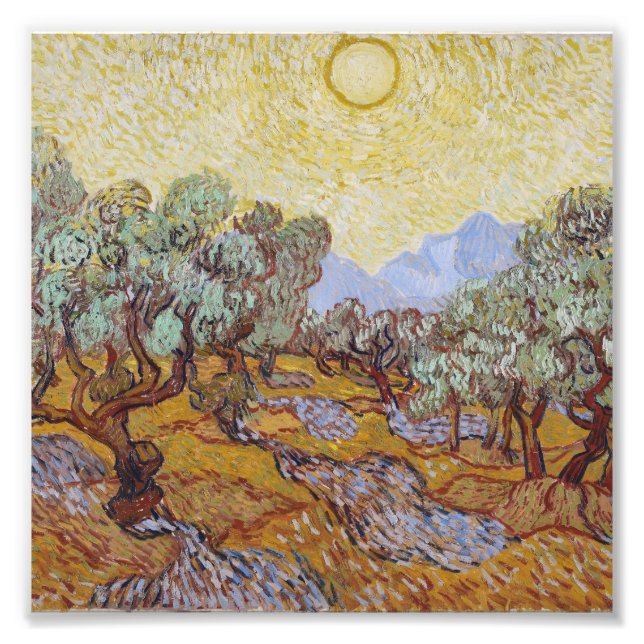 Foto Vincent Van Gogh - Olivos con cielo amarillo (Frente)