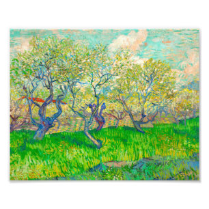 Foto Vincent van Gogh Orchard en Blossom