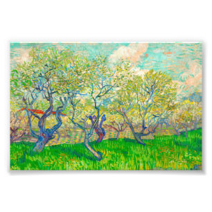 Foto Vincent van Gogh Orchard en Blossom