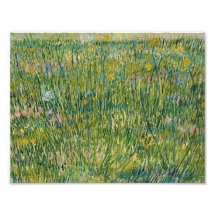 Foto Vincent van Gogh - Parche de hierba