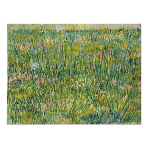 Foto Vincent van Gogh - Parche de pasto