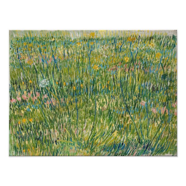 Foto Vincent van Gogh - Parche de pasto (Frente)