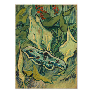 Foto Vincent van Gogh - Polilla gigante del pavo real
