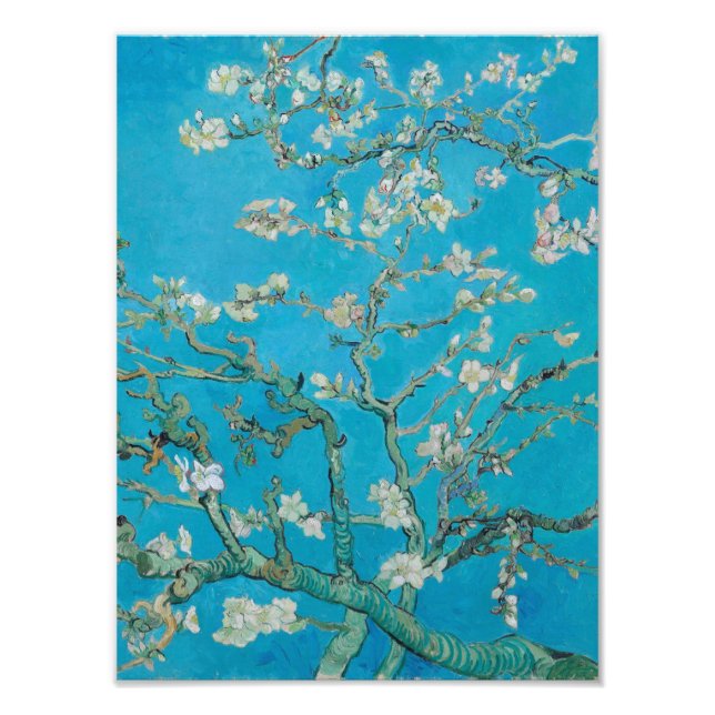 Foto Vincent Van Gogh - Sucursales con flores de almend (Frente)