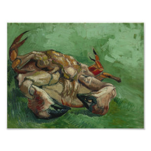 Foto Vincent van Gogh - Un cangrejo en su espalda