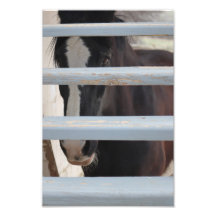 Vínculo no expresado