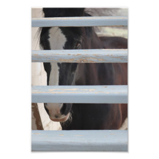 Foto Vínculo no expresado