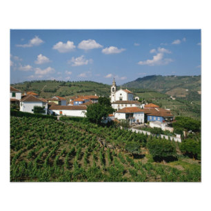 Foto Viñedos, pueblo de San Miguel, Douro
