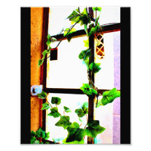 Vino verde