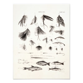 Foto Vintage años 1800: Pesca de mosca enmarañada vuela