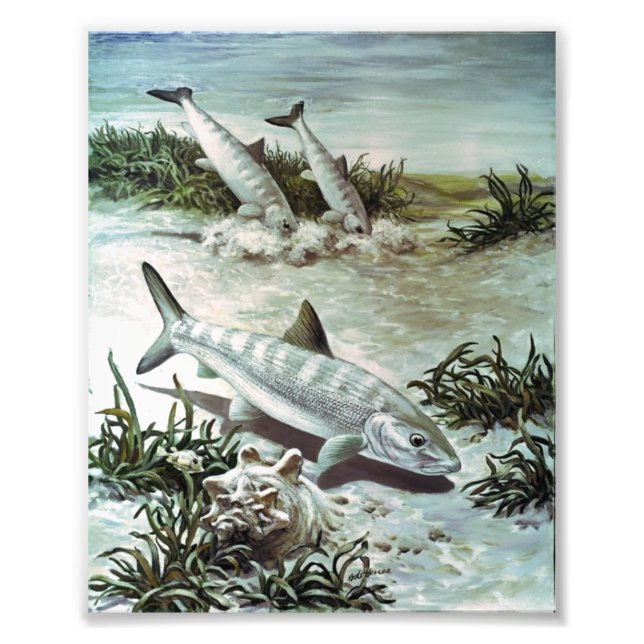 Foto Vintage Bonefish Underwater Scene (Frente)