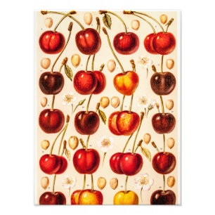 Foto Vintage Cherry Varieties Antiguo Cherries Fruit