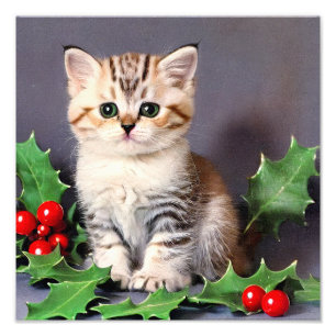Foto Vintage Christmas Kitten and Holly