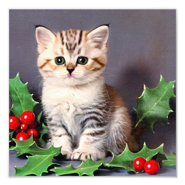 Foto Vintage Christmas Kitten and Holly (Frente)