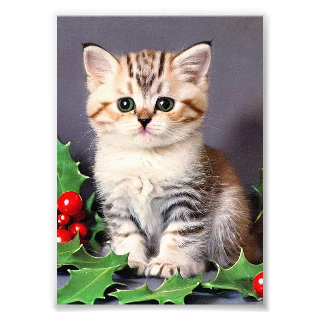 Foto Vintage Christmas Kitten and Holly (Frente)