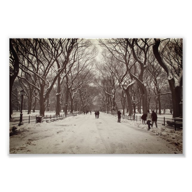 Foto vintage de The Mall, Central Park NY (Frente)