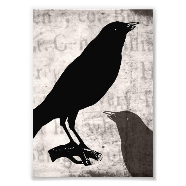 Foto Vintage Raven Collage Gótico Crow (Frente)