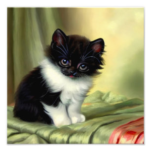 Foto Vintage Tuxedo Kitten Ilustracion