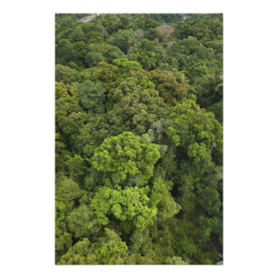 Foto Vista aérea de la selva tropical. Reserva de Iwokr