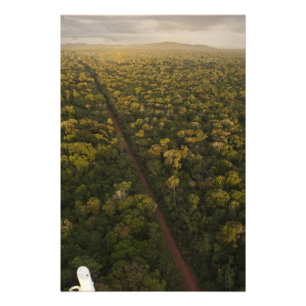 Foto Vista aérea de selva tropical. Reserva de Iwokrama