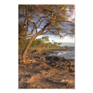 Foto vista al océano Maui, Hawaii