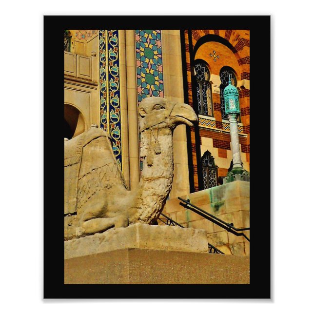 Foto Vista de camello (Frente)