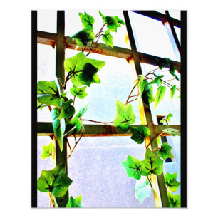 Foto Vista de hoja