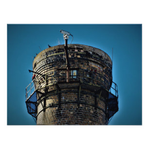 Foto "Vista de ojos de pájaro"