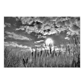 Foto Vista de ojos de pato