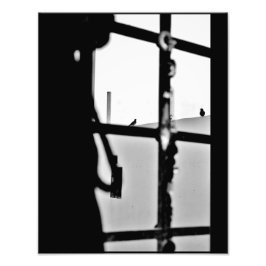 Foto Vista de pichón