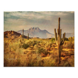 Foto Vista del desierto de Saguaro Cacti Arizona