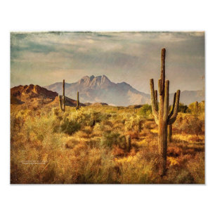 Foto Vista del desierto de Saguaro Cacti Arizona