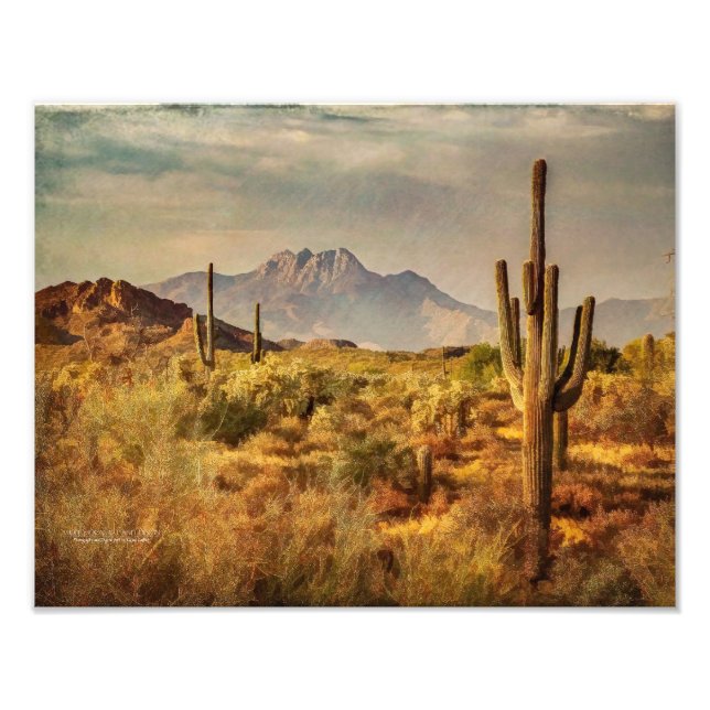 Foto Vista del desierto de Saguaro Cacti Arizona (Frente)