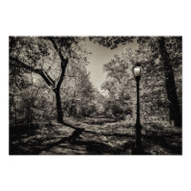Vista del Parque Central Otoño Blanco y Negro