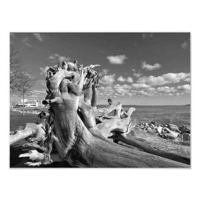 Foto Vista del puerto - Plymouth, Massachusetts (Frente)