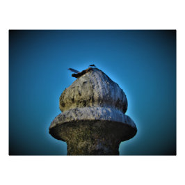 Foto "Vive al atardecer"