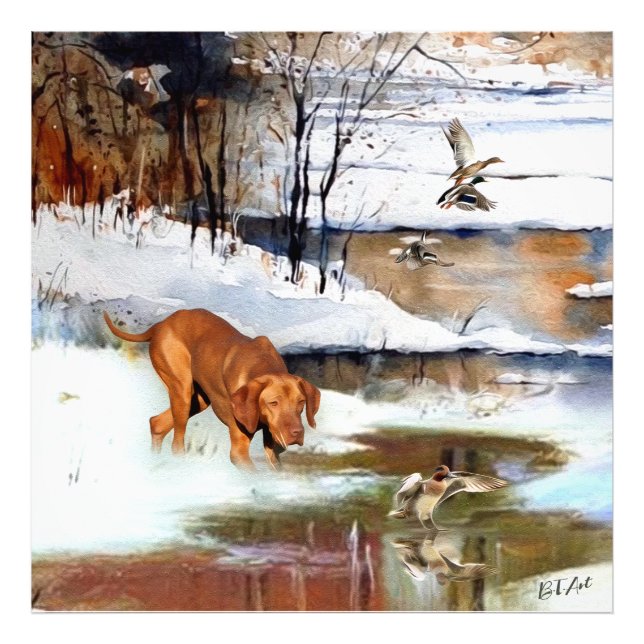 Foto Vizsla húngara, patos de caza en invierno (Frente)