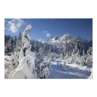 WA, Alpine Lakes Wilderness, cuenca del lago Snow