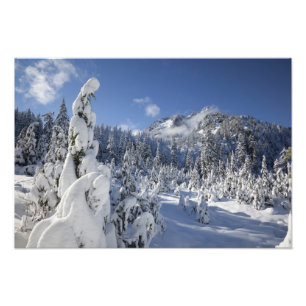 Foto WA, Alpine Lakes Wilderness, cuenca del lago Snow