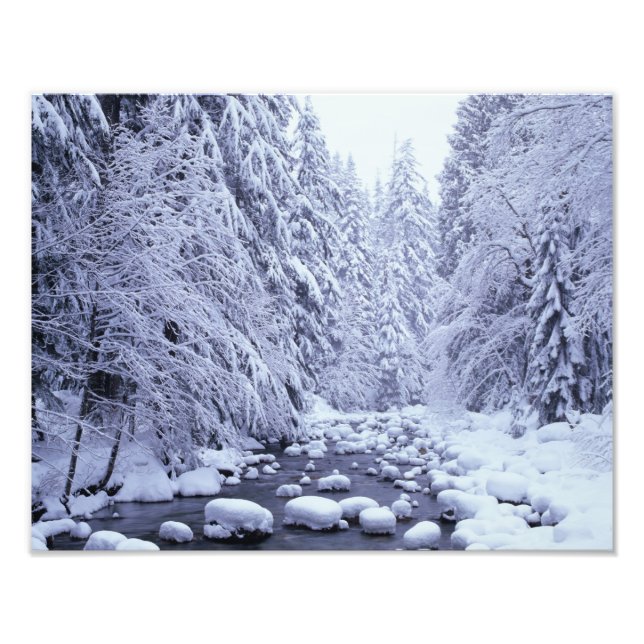 Foto WA, Bosque Nacional Mount Baker-Snoqualmie, (Frente)