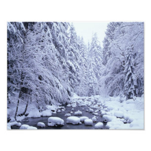 Foto WA, Bosque Nacional Mount Baker-Snoqualmie,