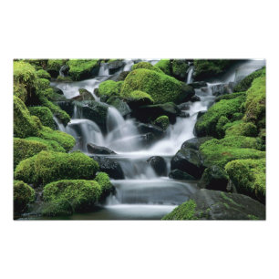 Foto WA, Parque Nacional Olímpico, Valle de Sol Duc, ar