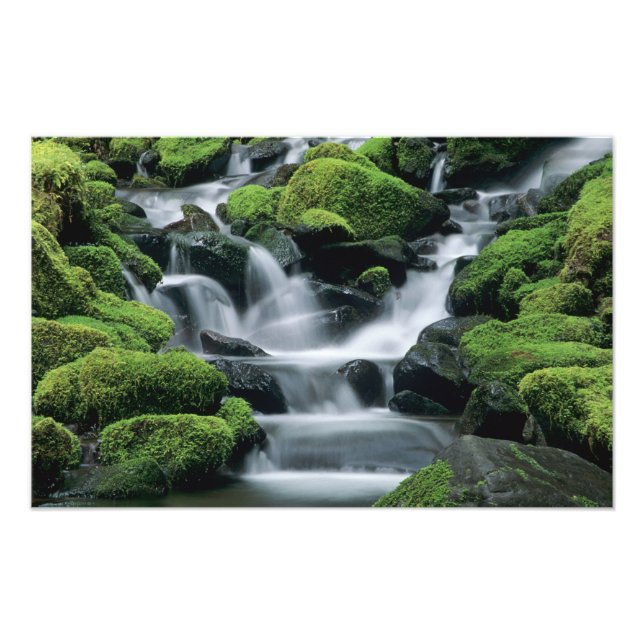 Foto WA, Parque Nacional Olímpico, Valle de Sol Duc, ar (Frente)