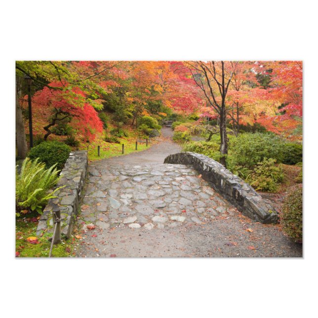 Foto WA, Seattle, Arboreto del Parque Washington, (Frente)
