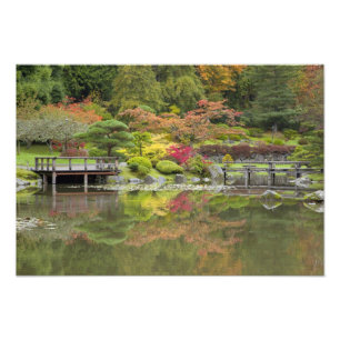 Foto WA, Seattle, Arboreto del Parque Washington, 3