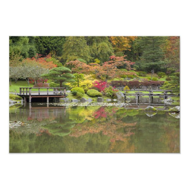 Foto WA, Seattle, Arboreto del Parque Washington, 3 (Frente)