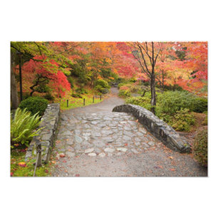 Foto WA, Seattle, Washington Park Arboretum,