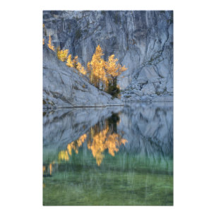 Foto WA, Selva de los lagos alpinos, encantamiento 5